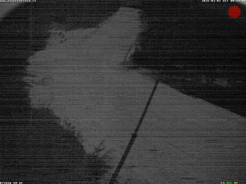 Camera Live Image