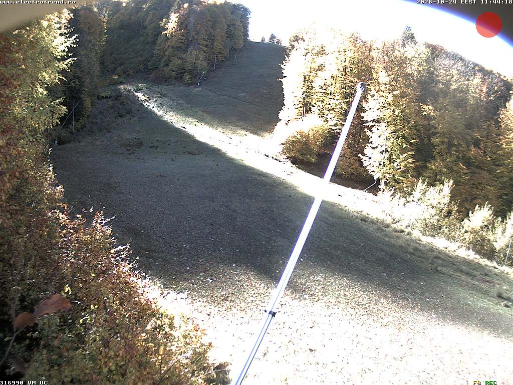 Camera Live Image