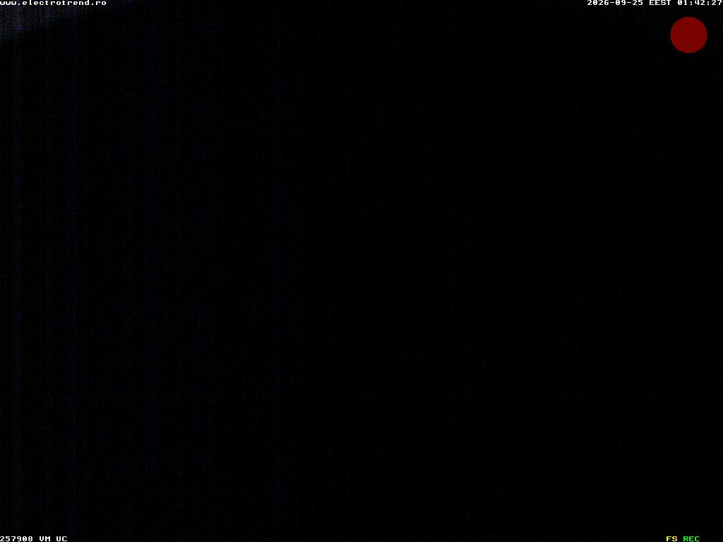 Camera Live Image