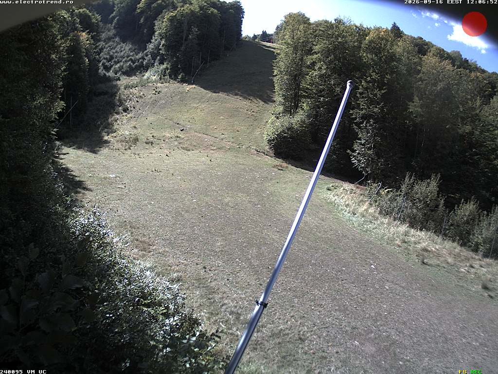 Camera Live Image