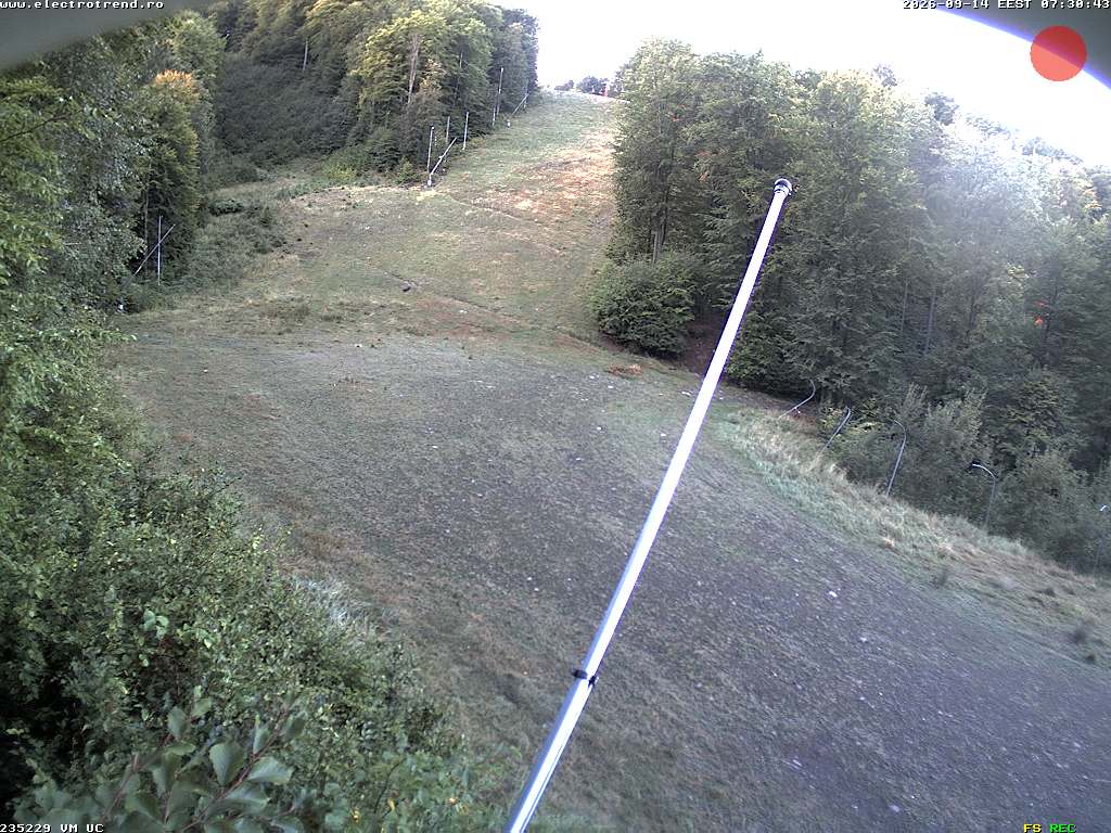 Camera Live Image