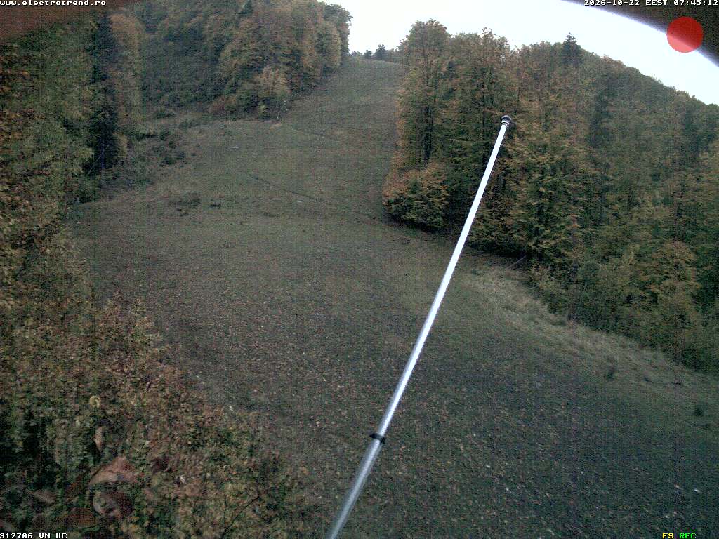 Camera Live Image