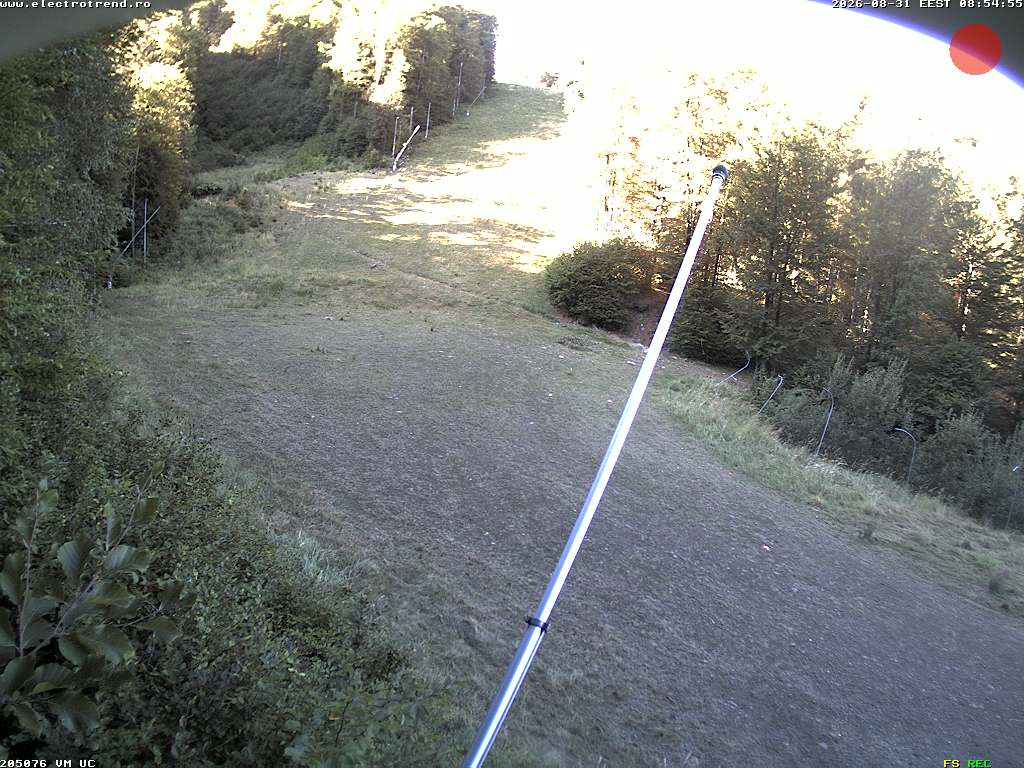 Camera Live Image