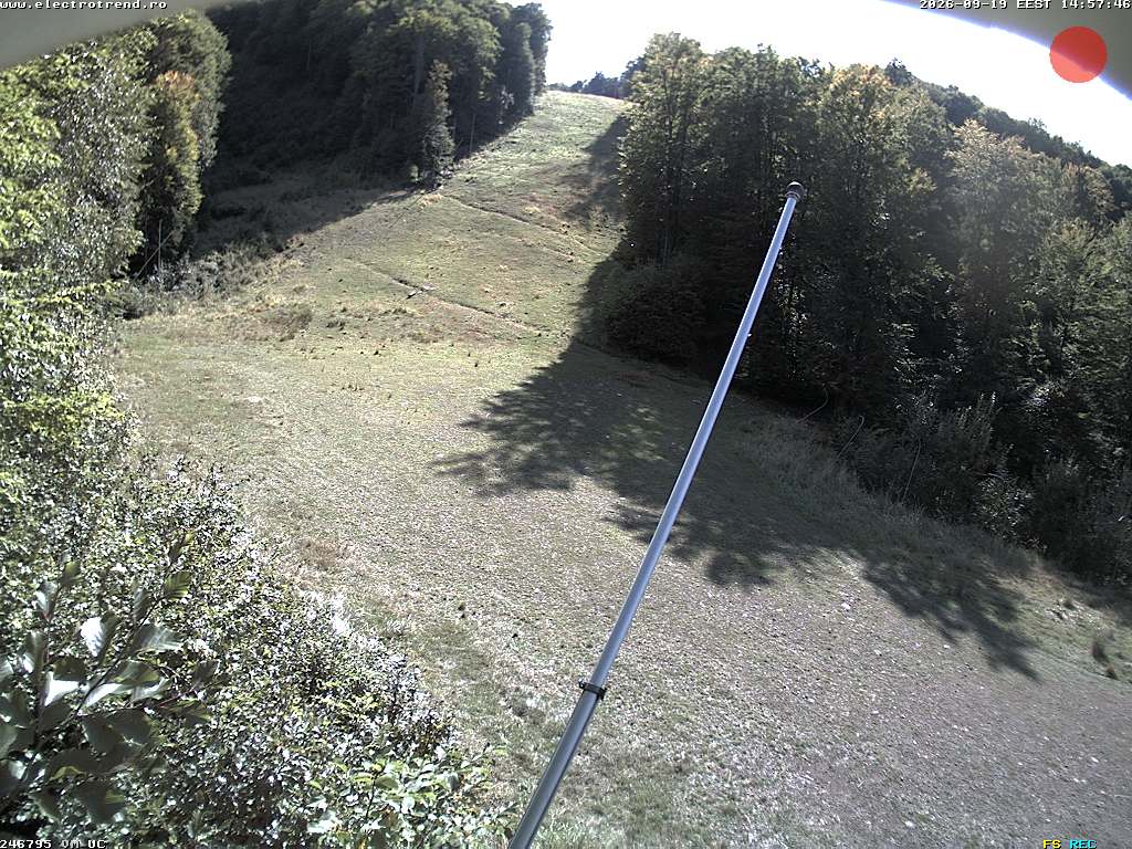 Camera Live Image