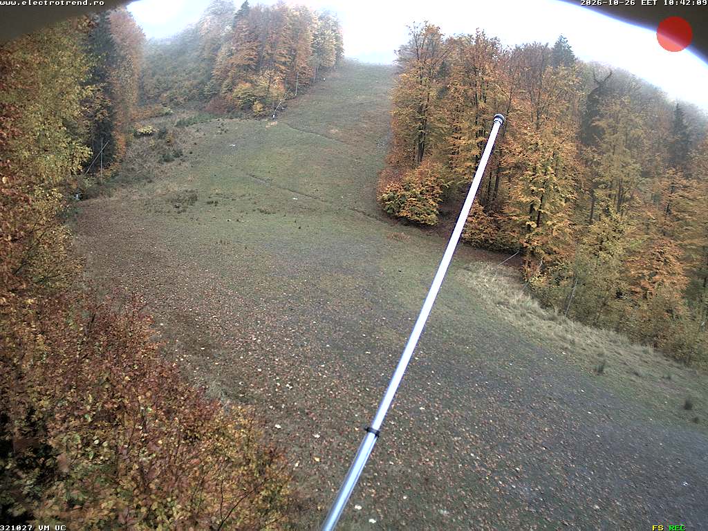 Camera Live Image