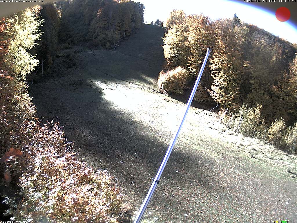 Camera Live Image